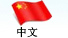 中文
